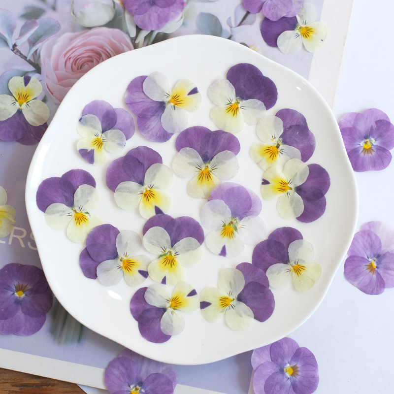 12pcs,nature Pansy Dried Flowe - Beauty Makeup Bridal reseña y precio